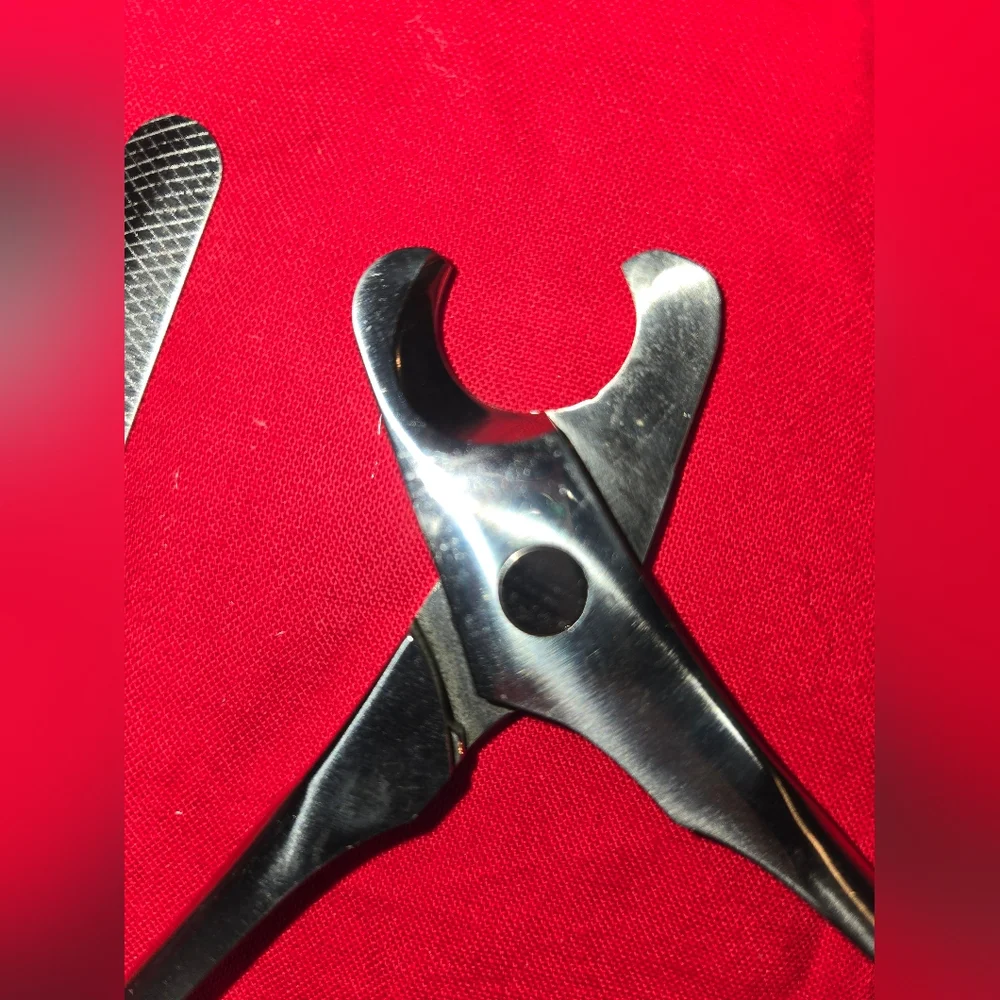 Pet clippers and file